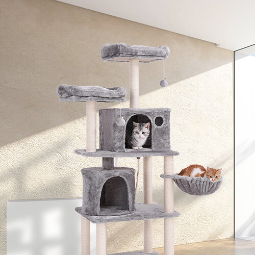 FEANDREA 2 condos cat tower